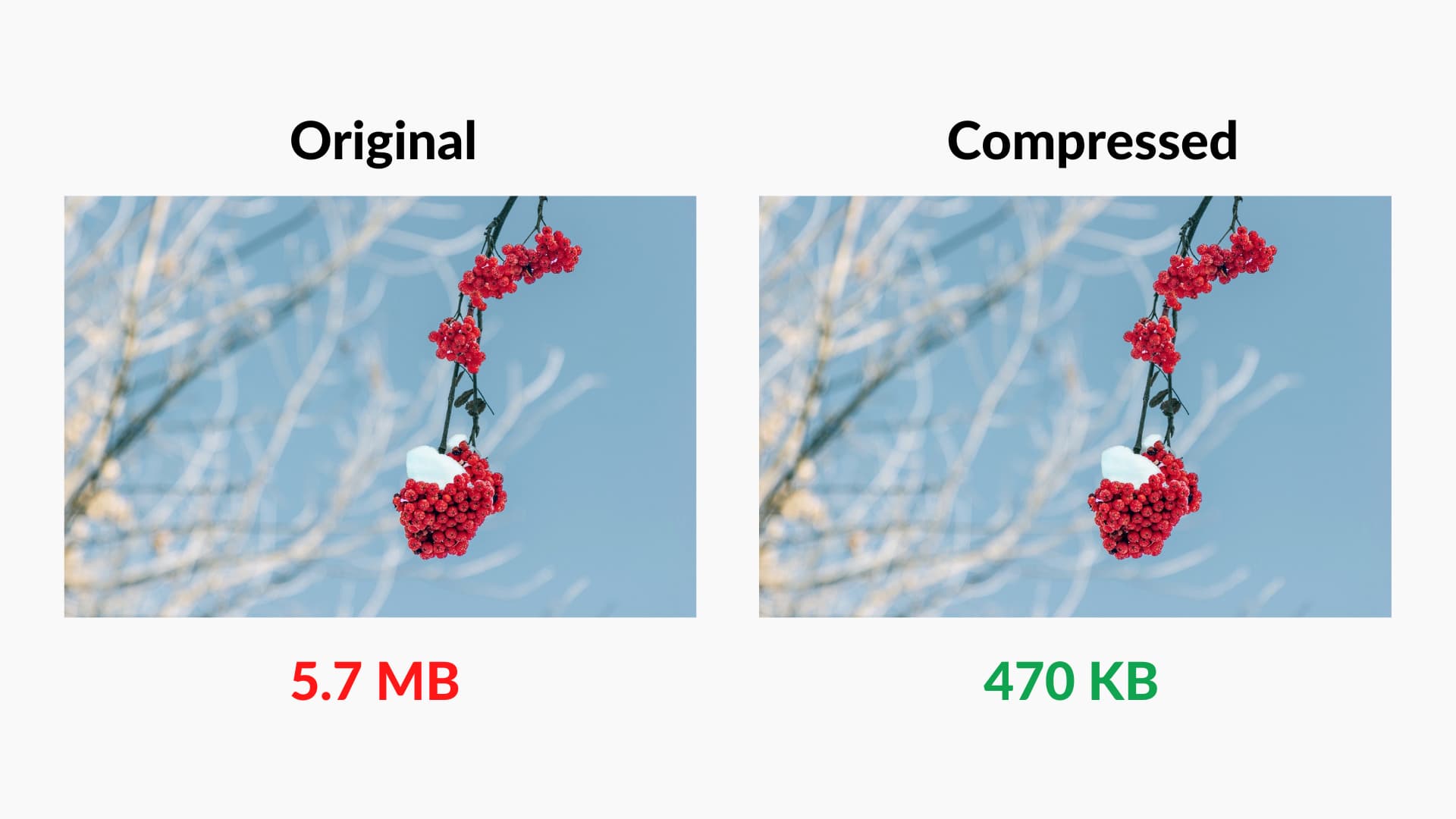 Feature 2 Image